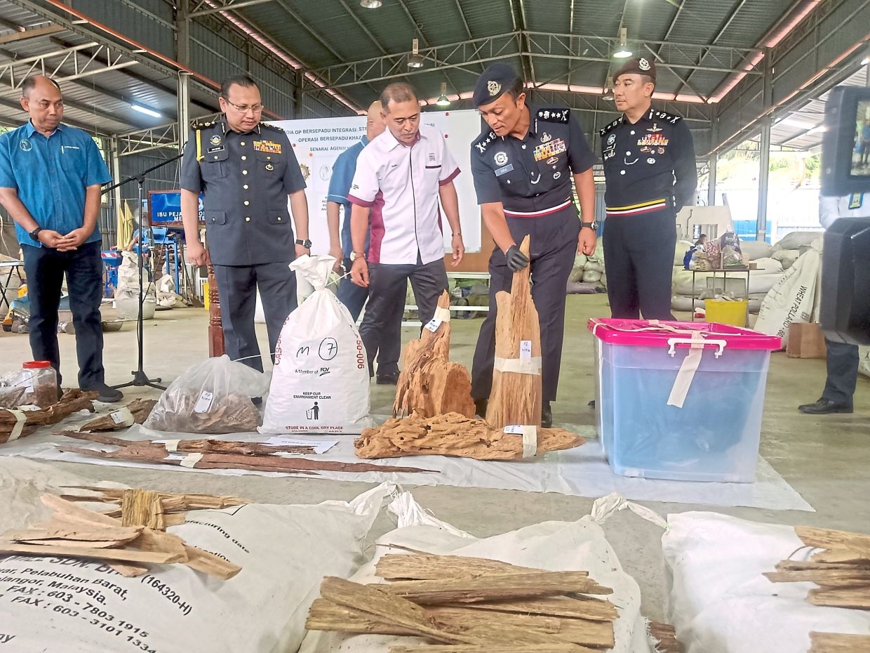 Agarwood trafficking syndicate busted in joint op