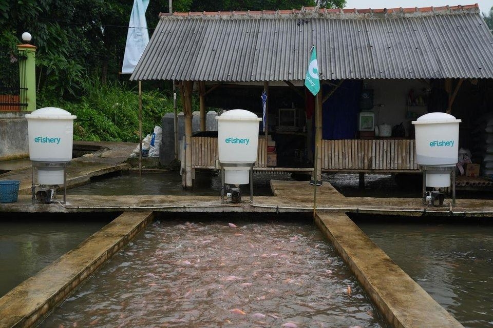 Indonesia police detain former eFishery CEO who faked data