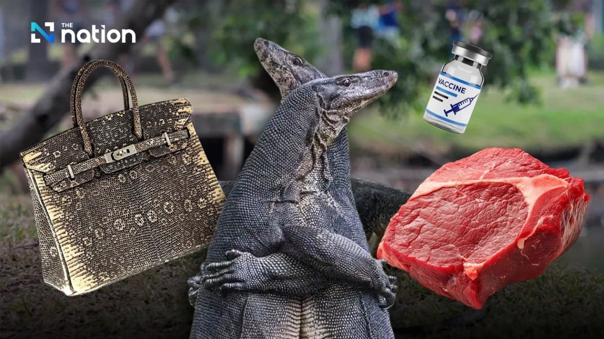 Thailand's monitor lizards tipped as next big 'economic animal' in luxury leather