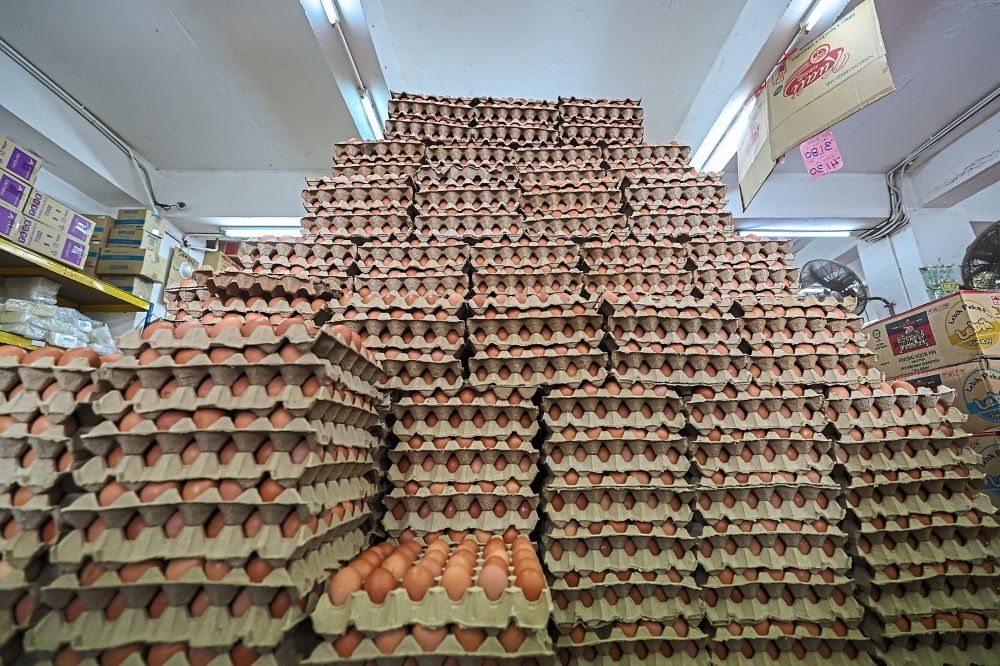 Egg prices, supply stable after subsidies ended, says Fuziah