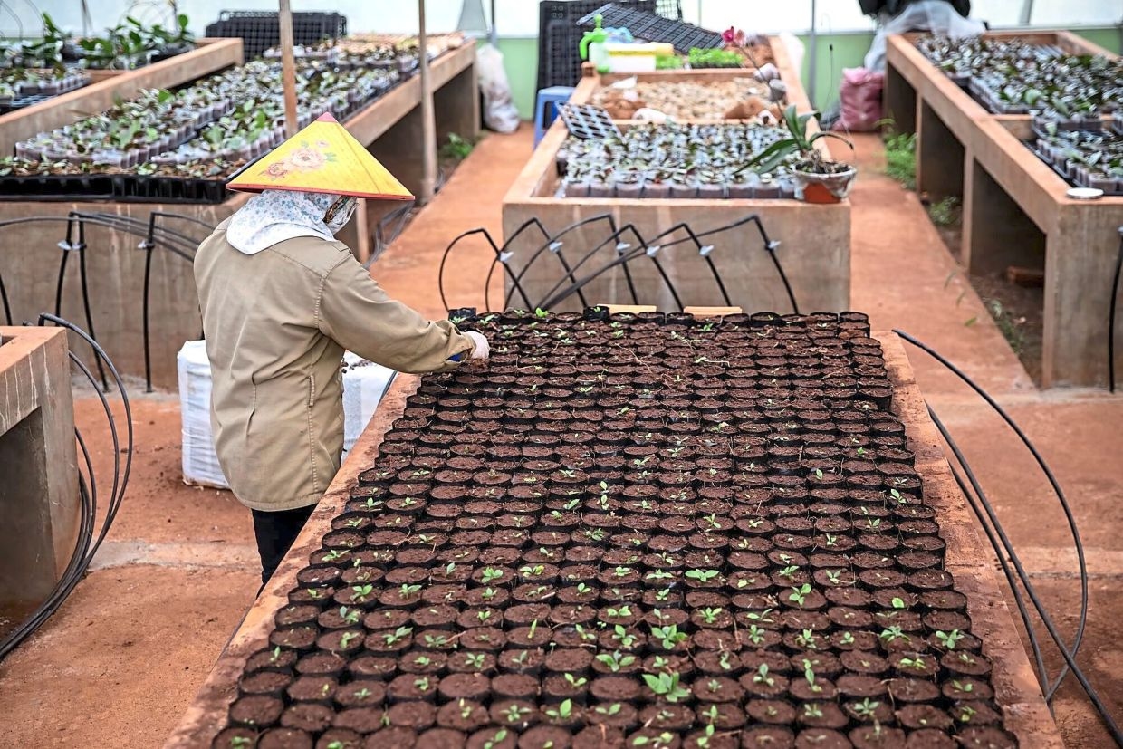 Vietnam trade beats estimates as buyers race Trump tariffs