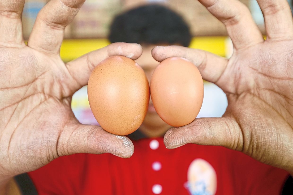 Egg prices steady after subsidy removal