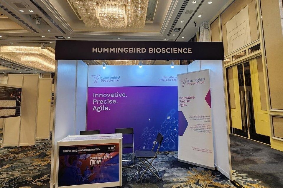 Singapore-based cancer biotech firm Hummingbird Bioscience to target inflammatory diseases with precision drugs
