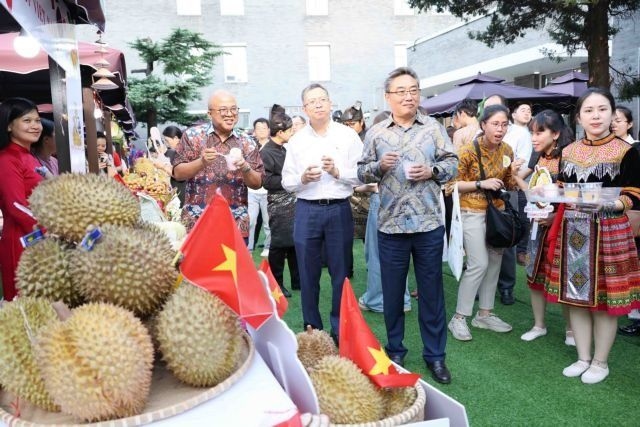 Vietnam's durian featured at first Asean–China Durian Festival