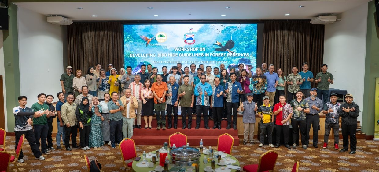 Sabah to test new birdwatching guidelines in forest reserves