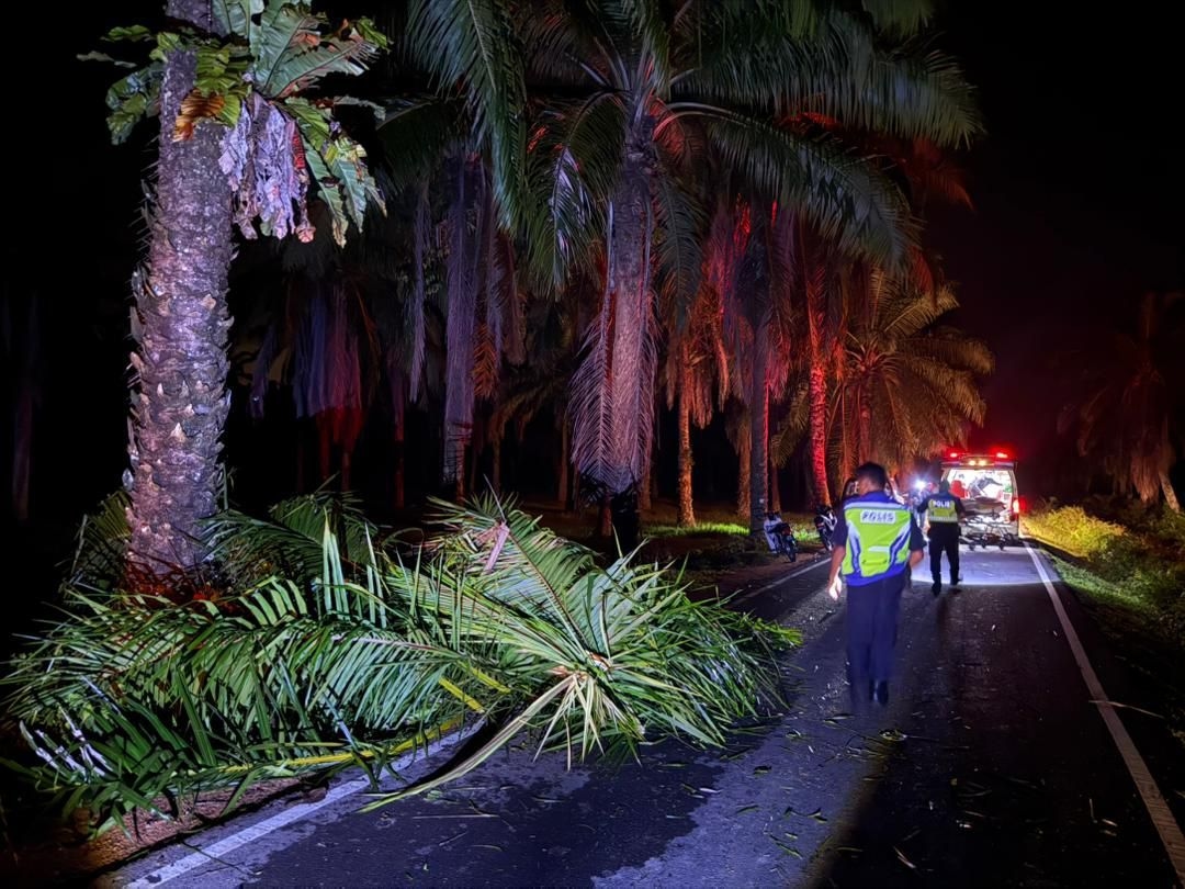 Motorcyclist dies after crashing into fallen tree in Tanjung Sedili