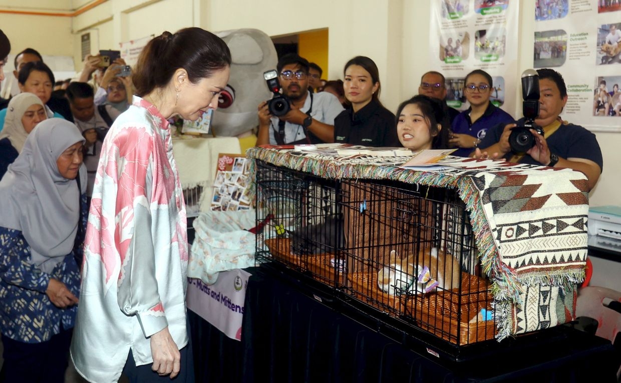 Perak govt, NGOs to identify suitable locations for animal shelters