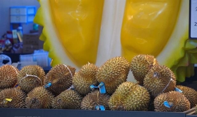Vietnam's strategy to revive China durian exports proves successful
