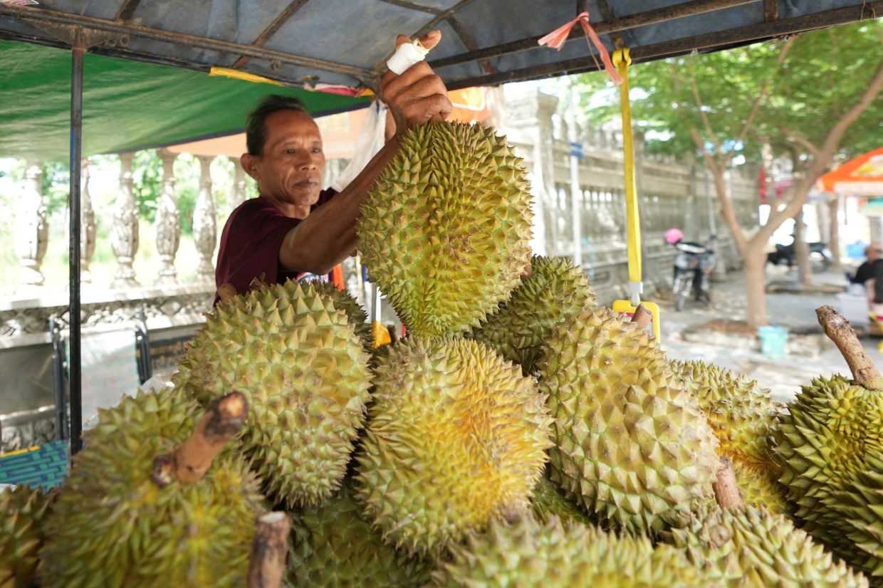 Durian diplomacy: China welcomes Cambodia's first direct air shipments of fruit