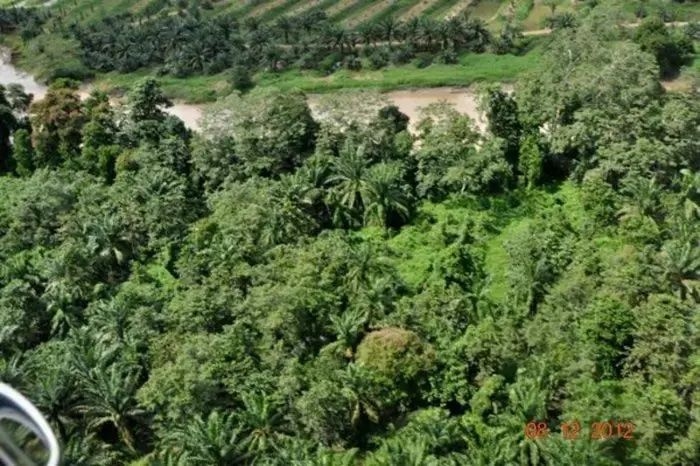 Brighter outlook likely for Wilmar International in 2H25