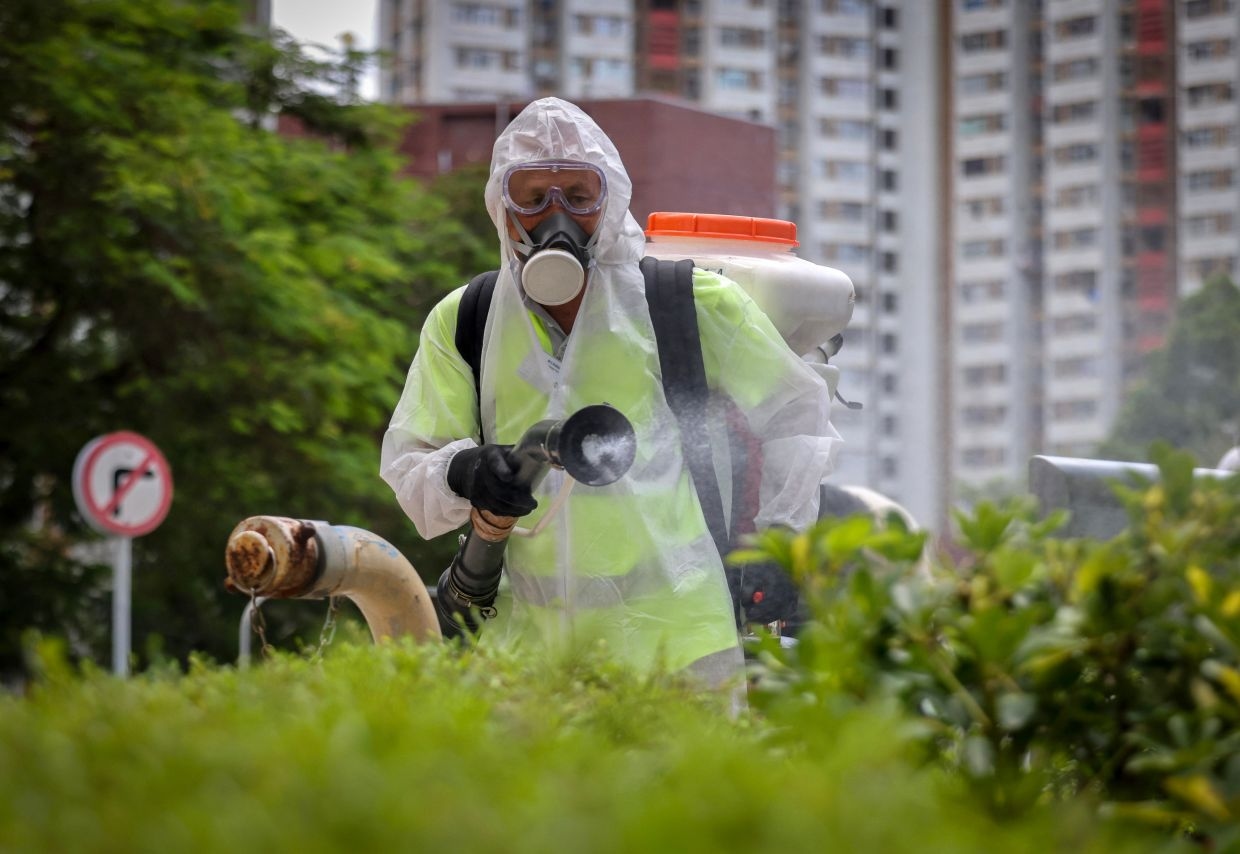 Fighting chikungunya in Hong Kong: why do experts reject mosquito ‘weaponising'?
