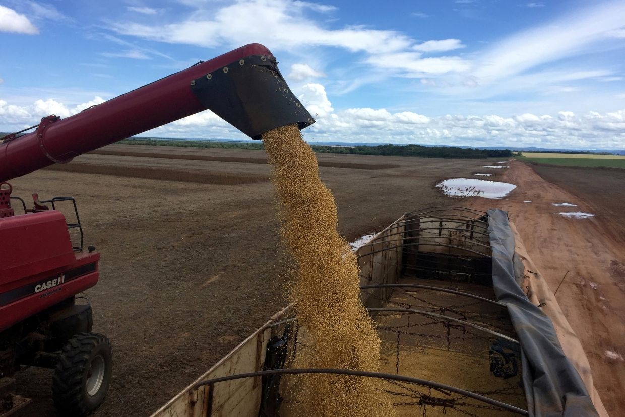 China's early South American soybean buys squeeze US out of peak export window