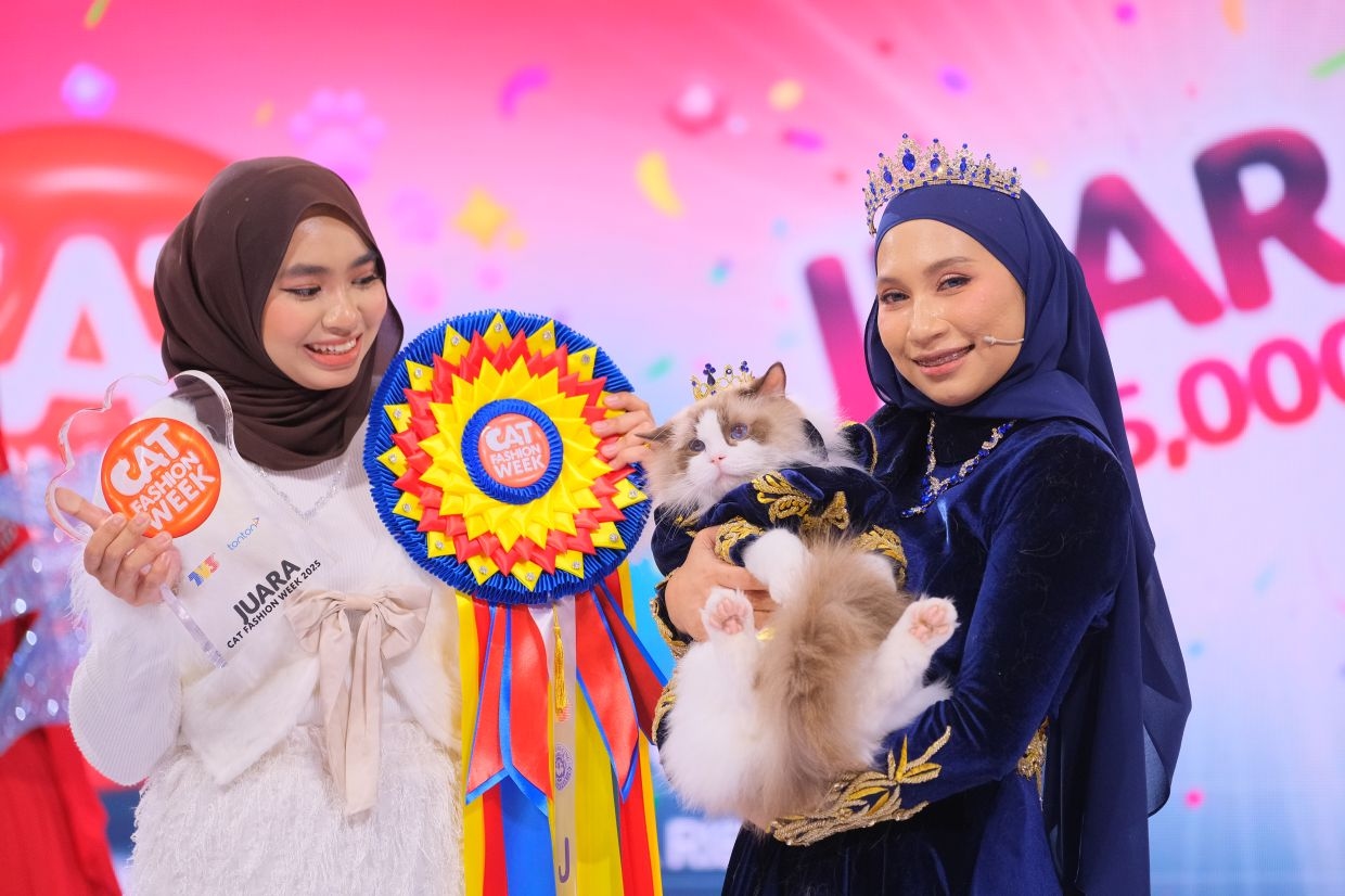Meet "King Evian", he is the fairest and most impressive cat in the country
