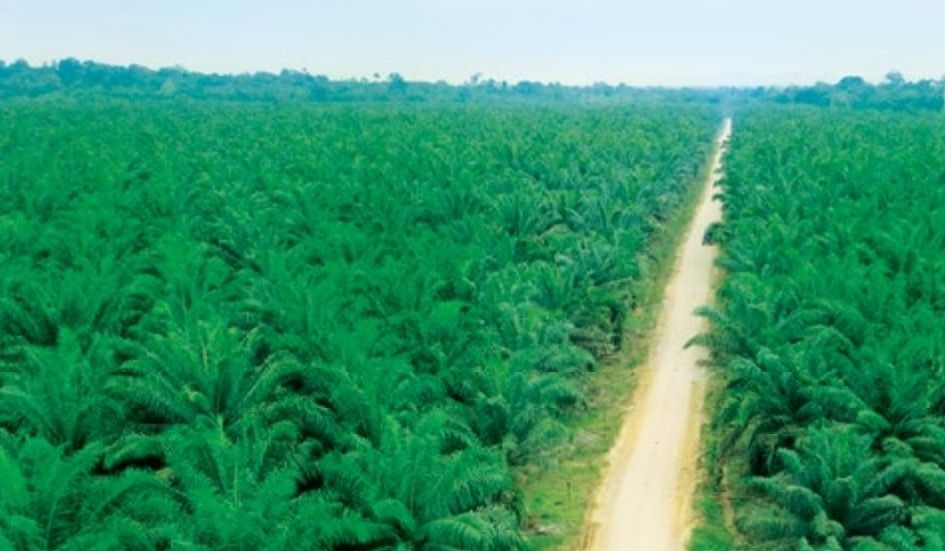 TSH Resources doubles 2Q net profit