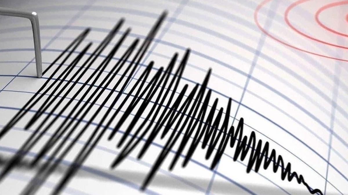 الشيلي.. زلزال بقوة 7,5 درجة يضرب أقصى جنوب البلاد وتحذيرات من تسونامي