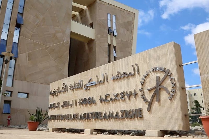 المعهد الملكي للثقافة الأمازيغية يحتفي بذكرى الاعتراف الرسمي بـ 'تيفيناغ'