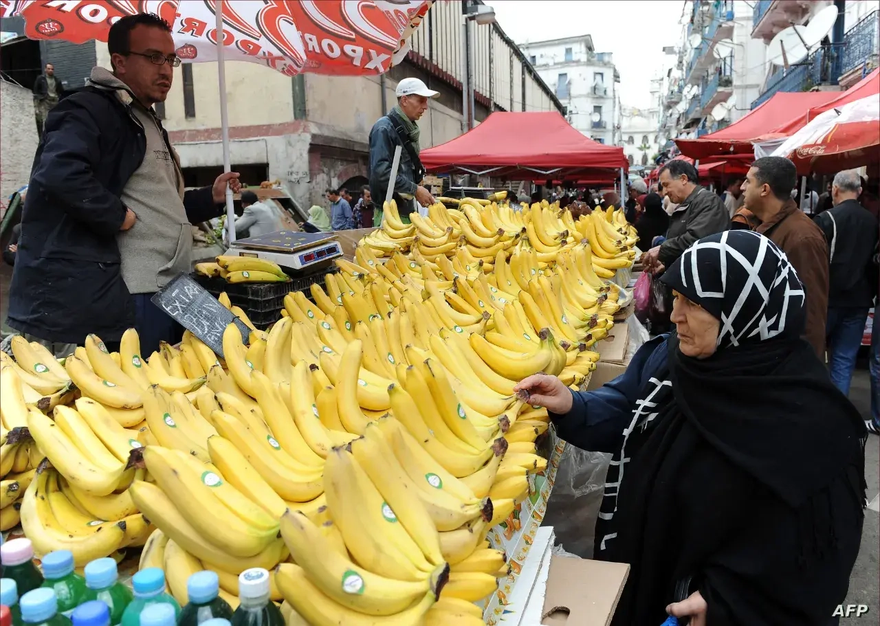 بسبب البوليساريو.. أسعار الموز تحلق عاليا في الجزائر