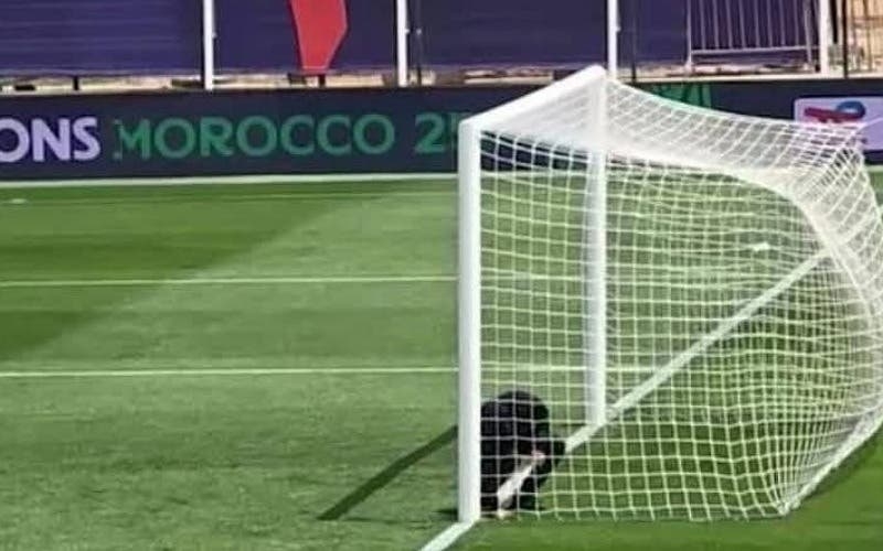 يحدث فقط في إفريقيا.. عضو من منتخب مالي يحاول وضع 'السحور' داخل الملعب وعضوة من 'الكاف' تتدخل