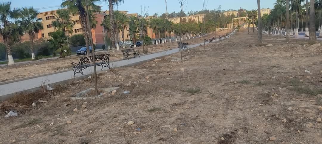 الفضاء البيئي بالحرم الجامعي بسطات يحتضر فهل من مغيث؟