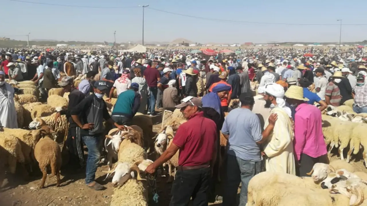 سلطات آسفي تمنع "الكسابة" من إدخال وبيع المواشي بسوق جمعة اسحيم