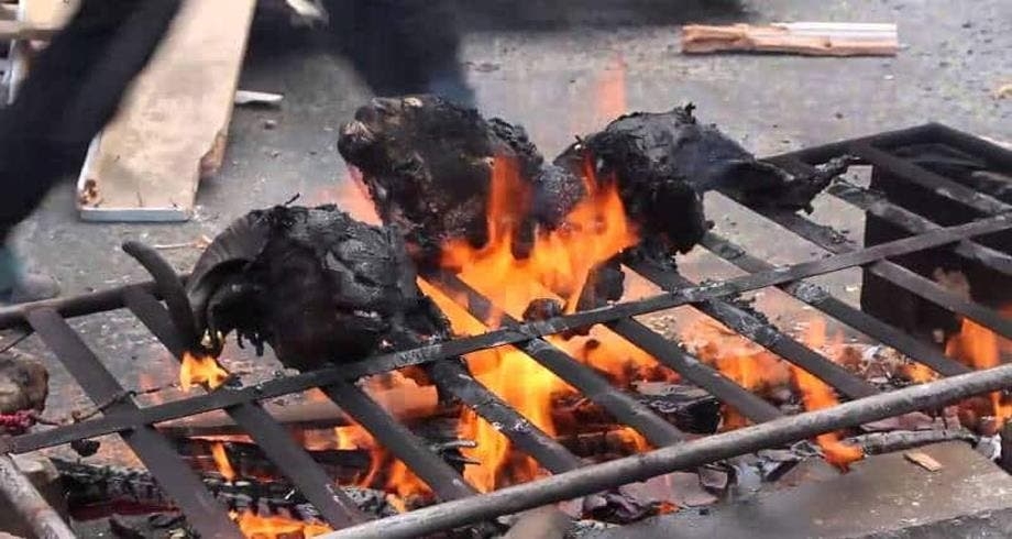 السلطات تحذر الأفران من شي رؤوس الأضاحي خلال عيد الأضحى