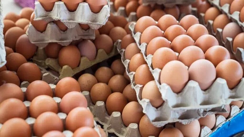 ارتفاع أسعار البيض في الأسواق المغربية والوسطاء في 'قفص الاتهام'
