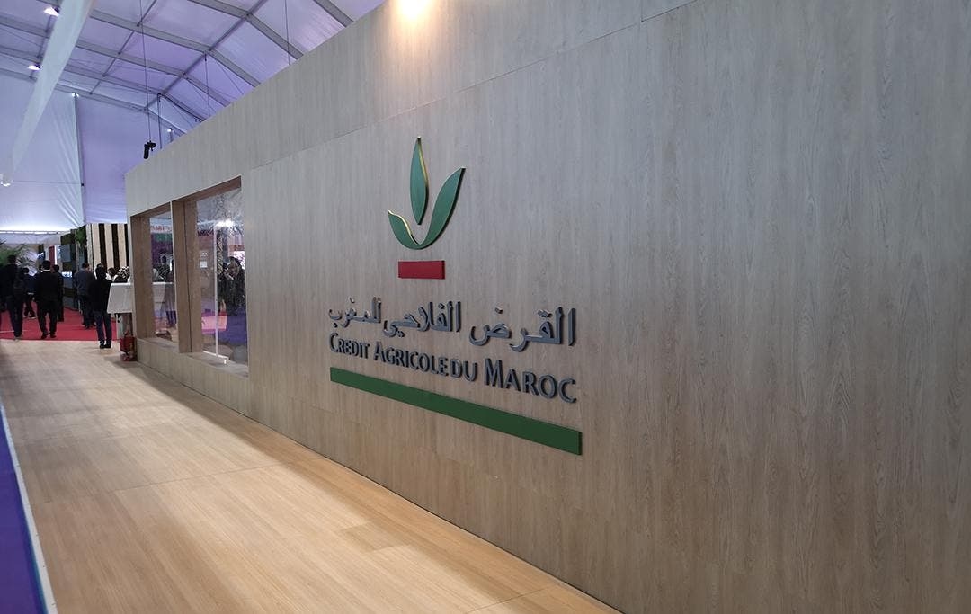 من يسير القرض الفلاحي…المدير العام أم حنان أعجلي؟