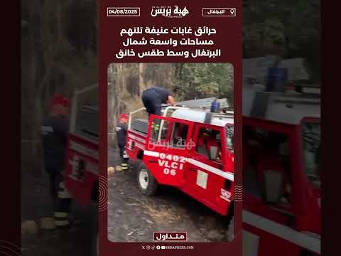حرائق غابات عنيفة تلتهم مساحات واسعة شمال البرتغال وسط طقس خانق