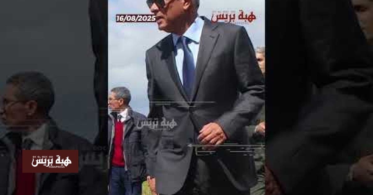 بتعليمات من امهيدية جنبات الطريق السيار المداري بالبيضاء تتحول لشريط أخضر