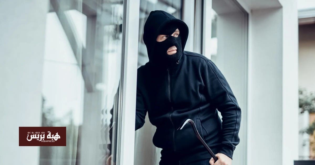 فيديو صادم.. لحظة سرقة مجوهرات بقيمة 2 مليون دولار خلال دقيقة ونصف