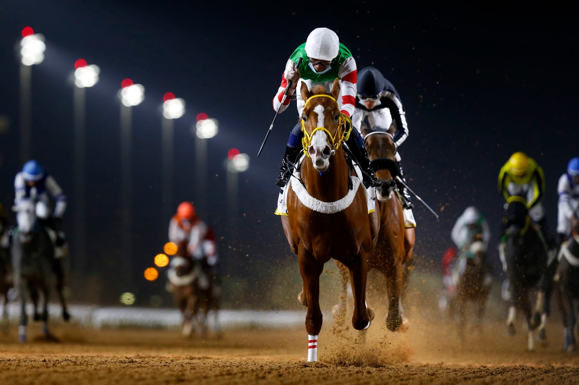 الدار البيضاء تكرّس موقعها في خارطة سباقات الخيل من خلال مهرجان "الإمارات – المغرب"