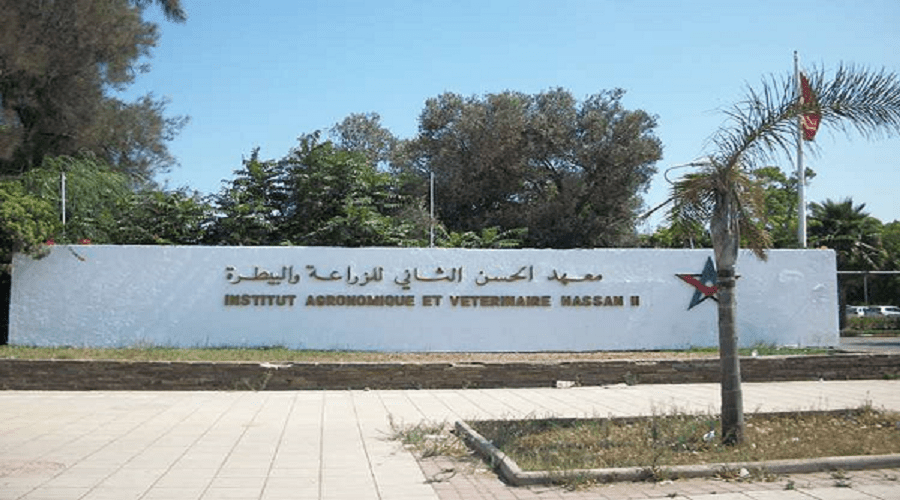الرباط: هدم أجزاء من إقامات الطلبة بمعهد الحسن الثاني للزراعة والبيطرة لأحداث طريق جديد