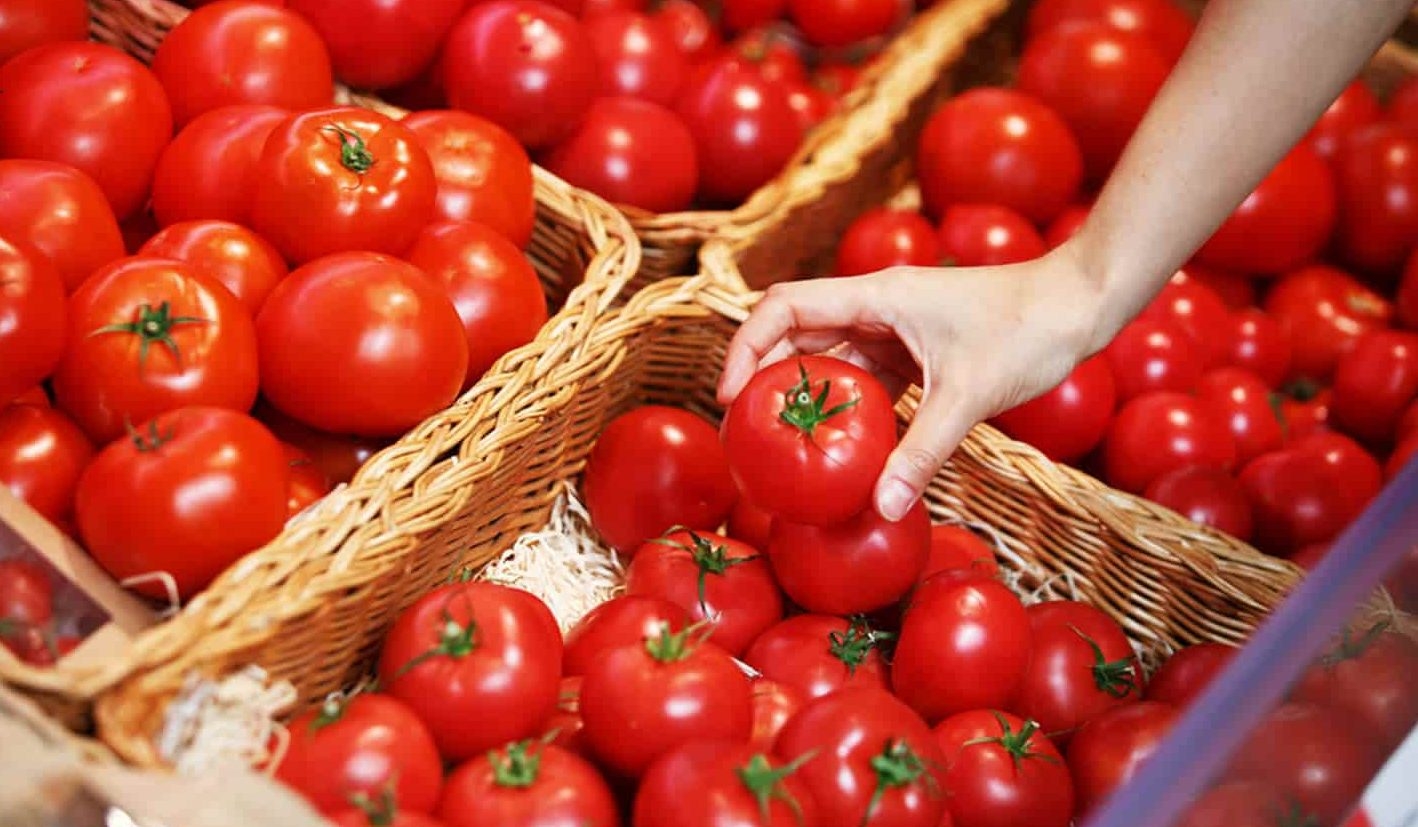 Morocco sets new record in tomato exports to Norway, surging by 37.9%
