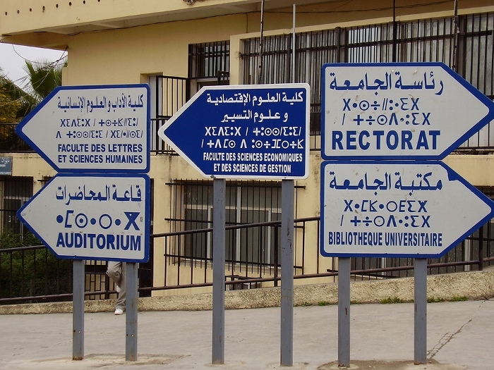 خريطة التنوع اللغوي في المغرب: هيمنة الدارجة وحضور قوي للفرنسية في المجال المهني والإنجليزية تجذب الشباب في 2024