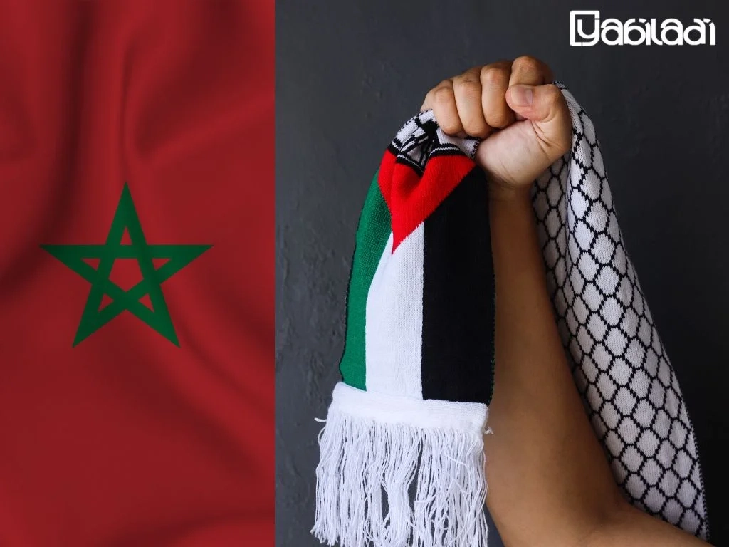 الأمم المتحدة: المغرب يدعم قراراً لوقف إطلاق النار المستدام في غزة