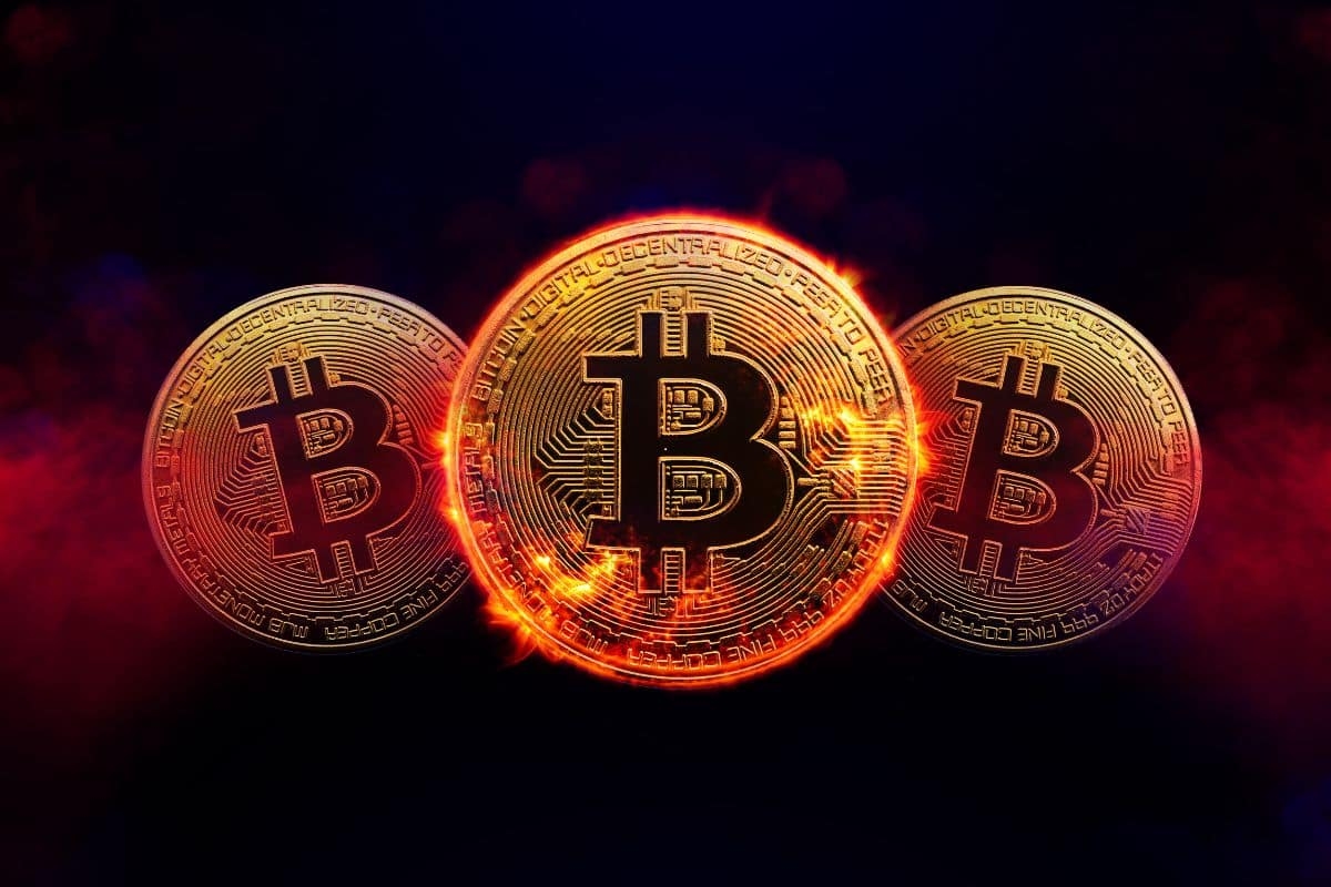 بيتكوين تتعافى من أدنى مستوياتها في 4 أشهر مع عودة الأصول الخطرة للانتعاش