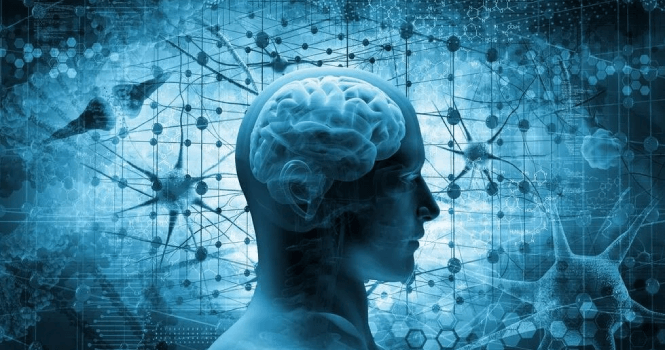 هل أصبح الذكاء الاصطناعي بديلاً عن العلاقات الإنسانية؟