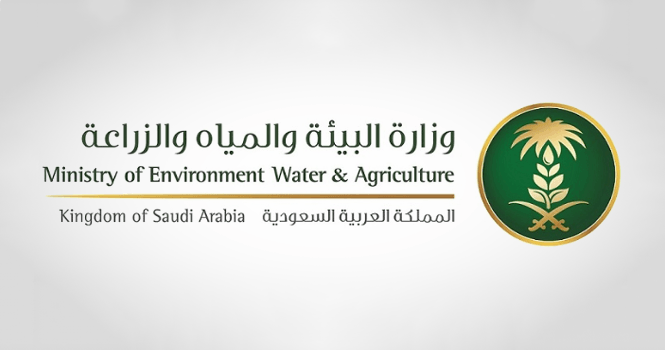 وزارة البيئة تُعلن ضوابط بيع المواشي الحية بالوزن وتبدأ تطبيق القرار الخميس المقبل