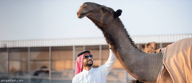 الشمري لـ «الرياضية»: انتظروني في «سيف الملك».. وبعت «صباحة» بـ 10 ملايين