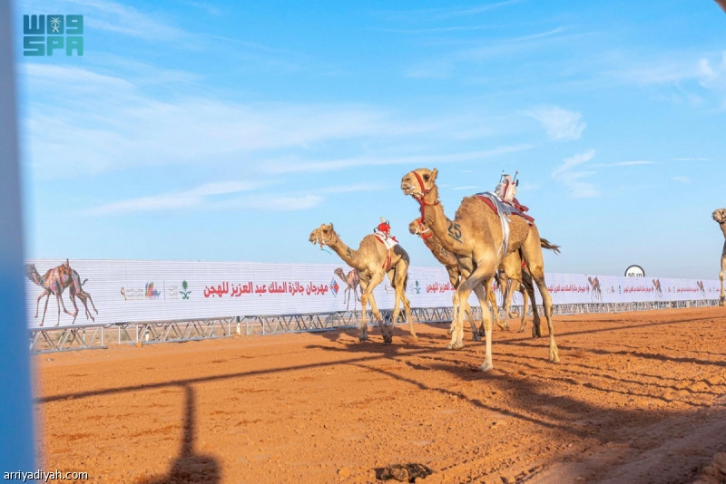 21 يونيو.. انطلاق تحدي المفاريد في الطائف