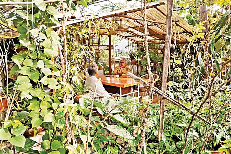 Dhaka's rooftops could feed the city, but law keeps getting in the way
