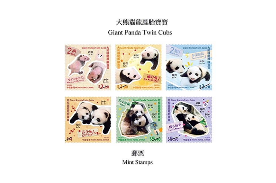 Hong Kong's celebrity panda twins to get their own stamps on Aug 15