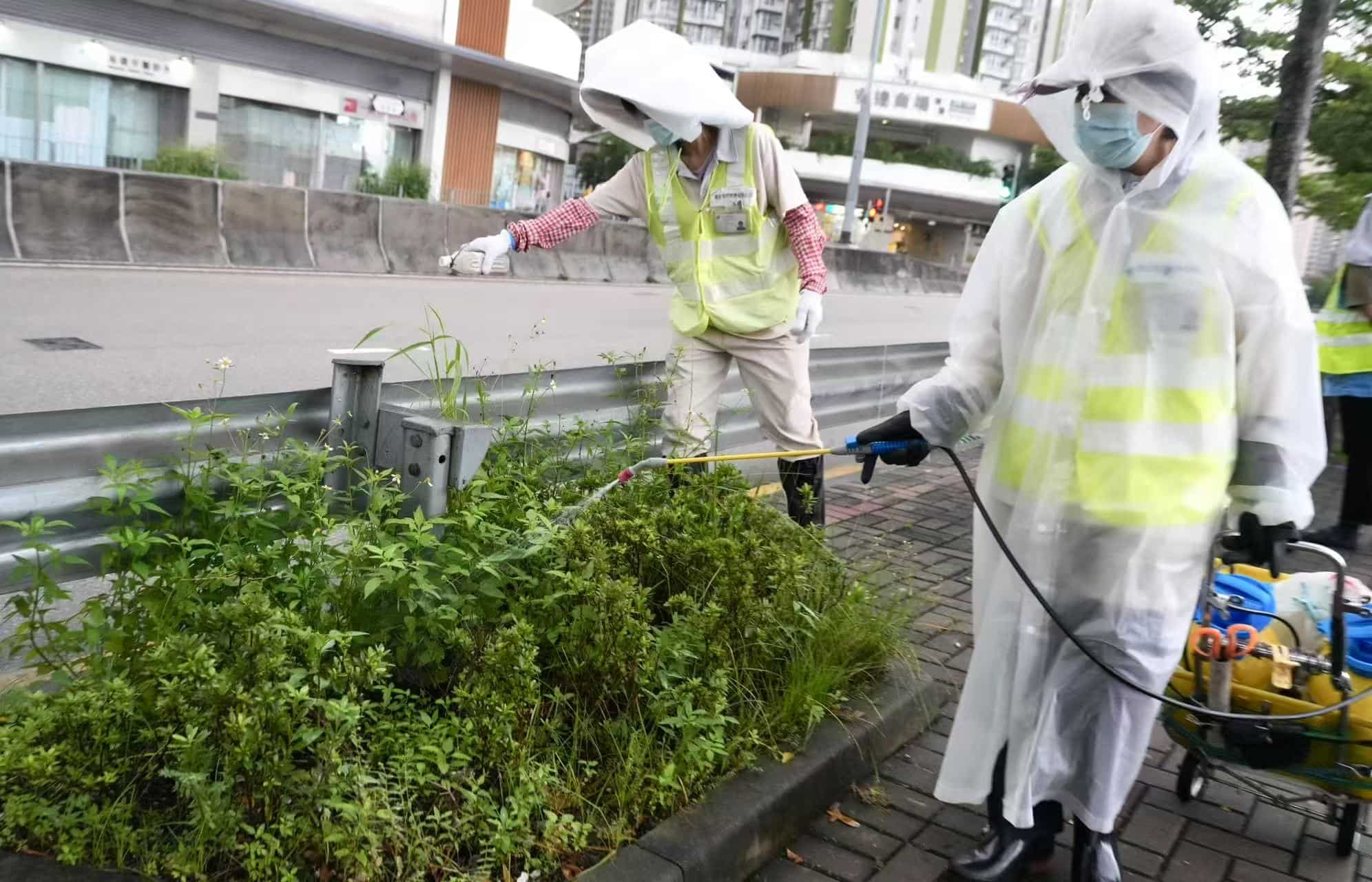 Hong Kong at risk of more imported cases of chikungunya: scientific committee