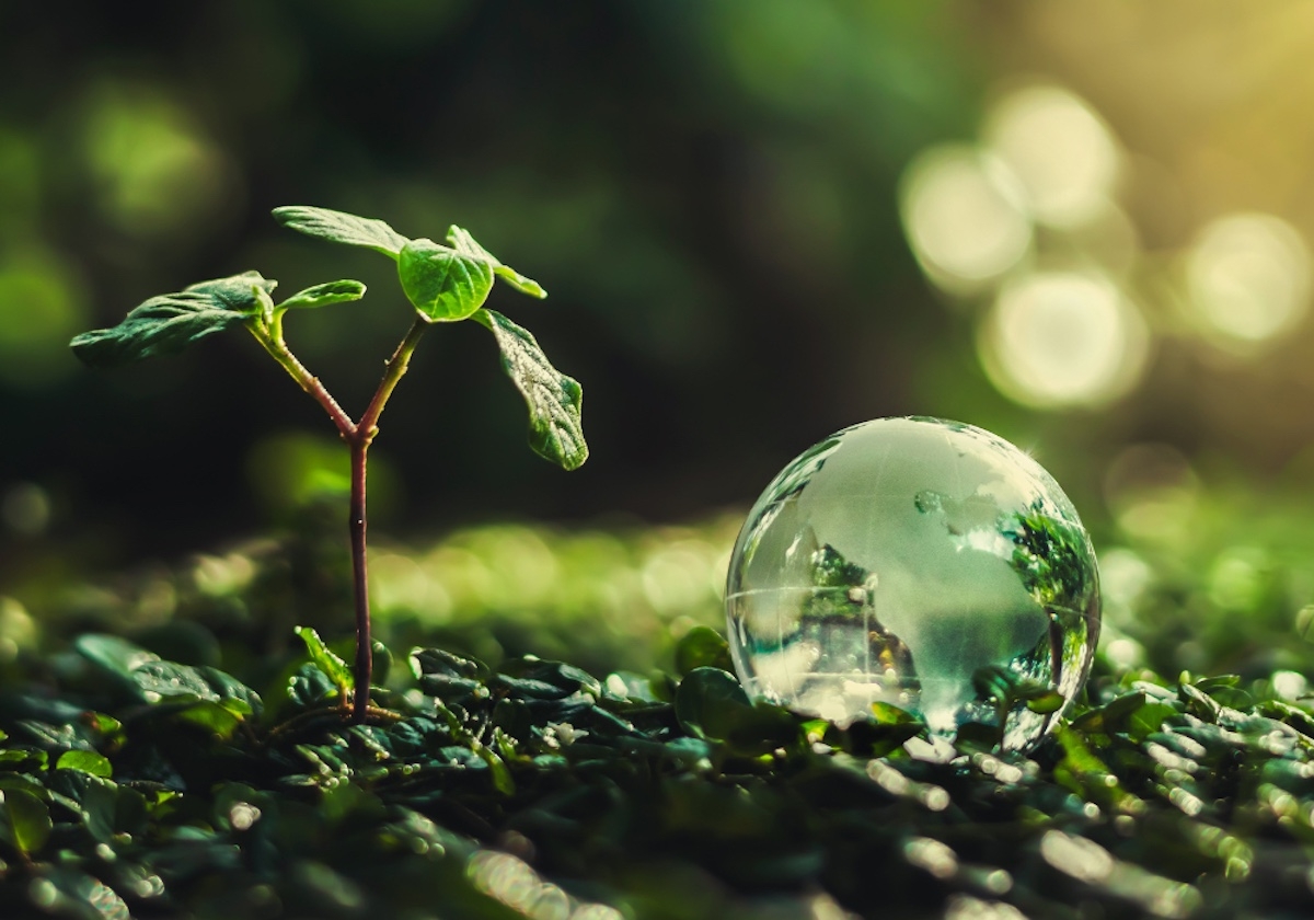 The still-hopeful future of sustainability