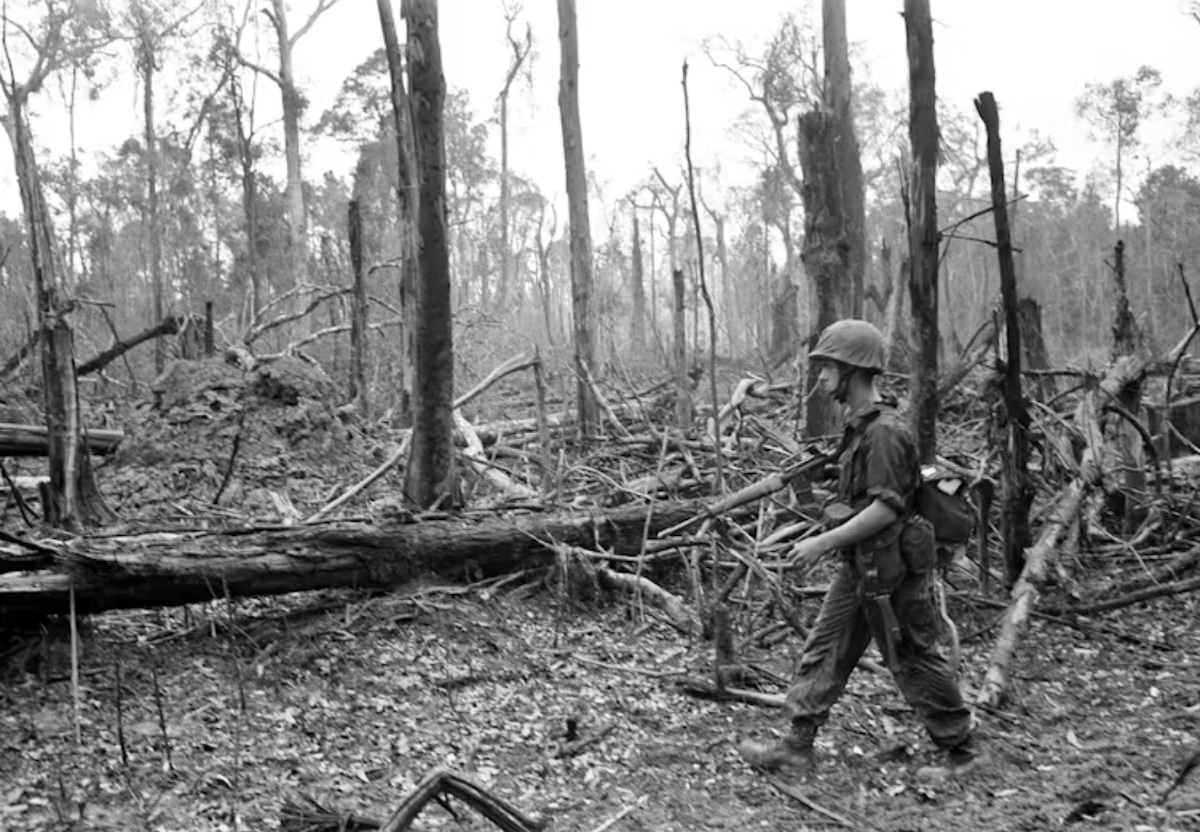 50 years on, Vietnam War's ecocide still not healed