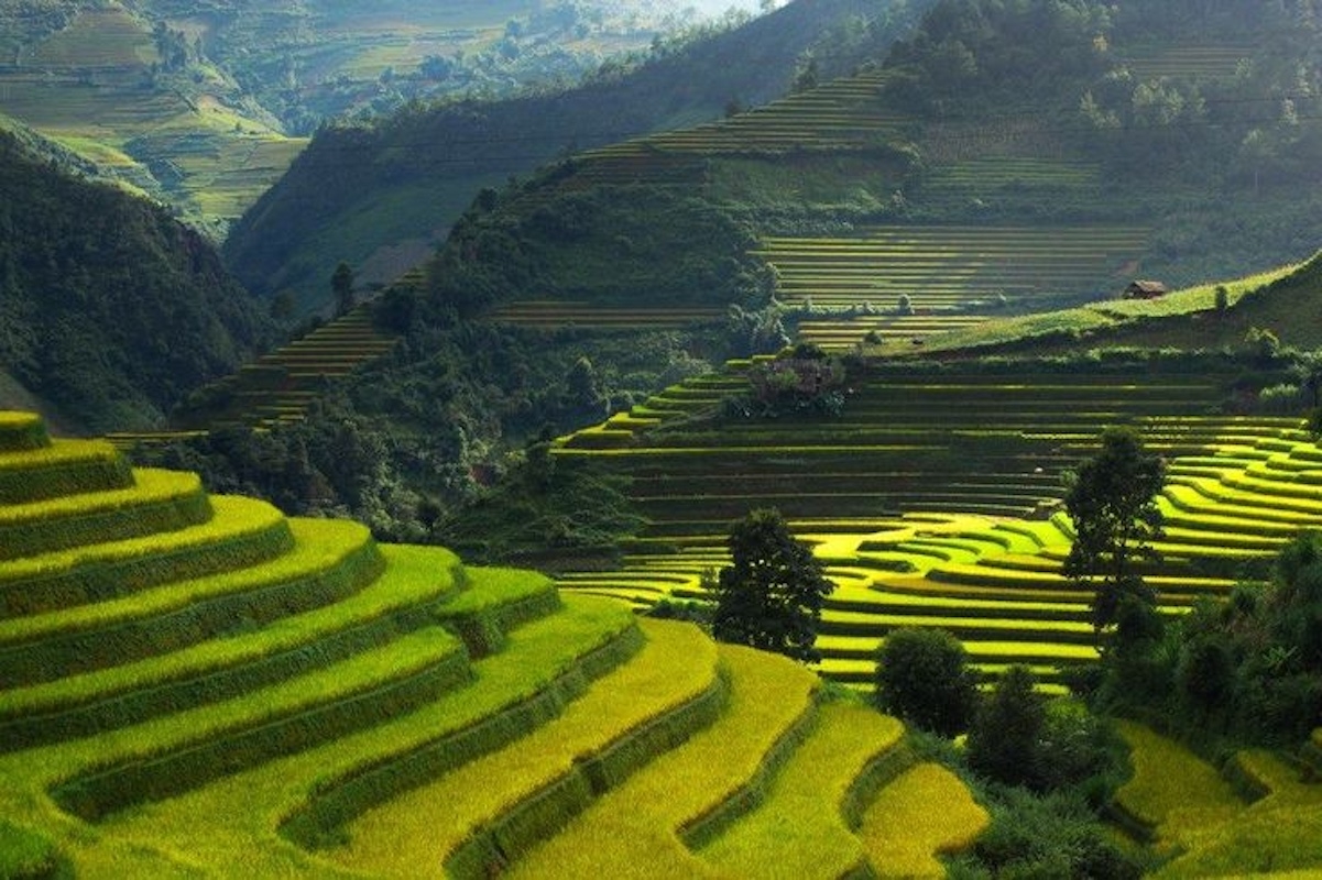Asia needs a sustainability paradigm authored by Asians