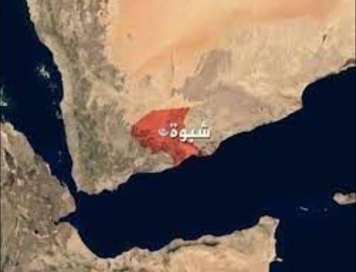 مقتل شاب في عرس بشبوة