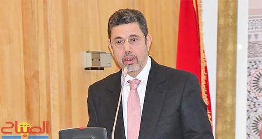 قاضيات تحت مجهر التكوين