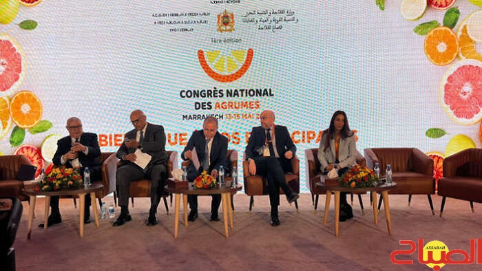 سميرس: الجفاف أفقدنا ثلث مساحات الحوامض