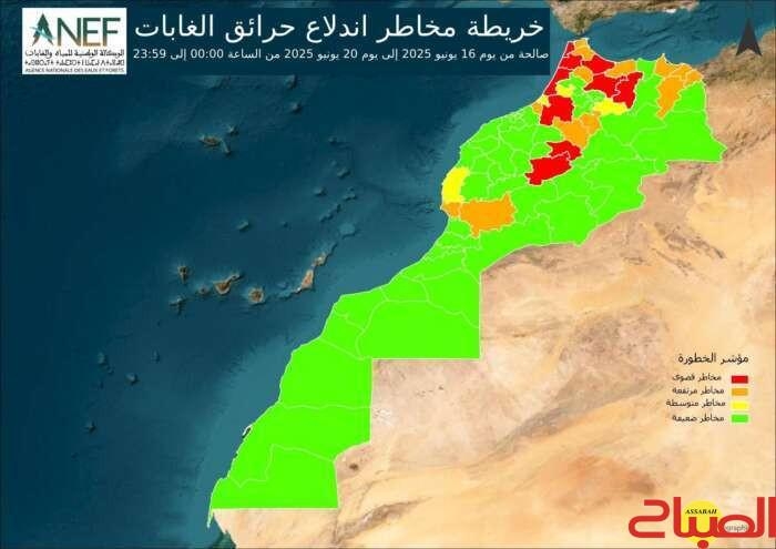 وكالة المياه والغابات تحذر من حرائق غابوية مرتقبة بعدد من الأقاليم